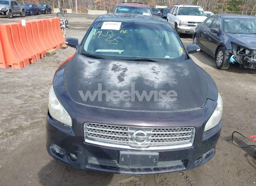 Photo 6 of 2010 Nissan Maxima 3.5 SV (VIN 1N4AA5AP2AC813002)