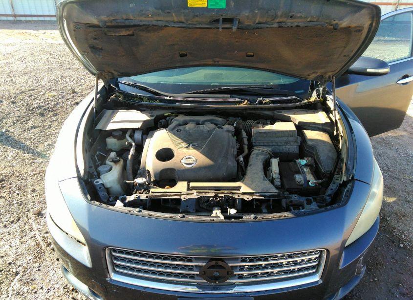 Photo 10 of 2010 Nissan Maxima 3.5 SV (VIN 1N4AA5AP2AC817051)