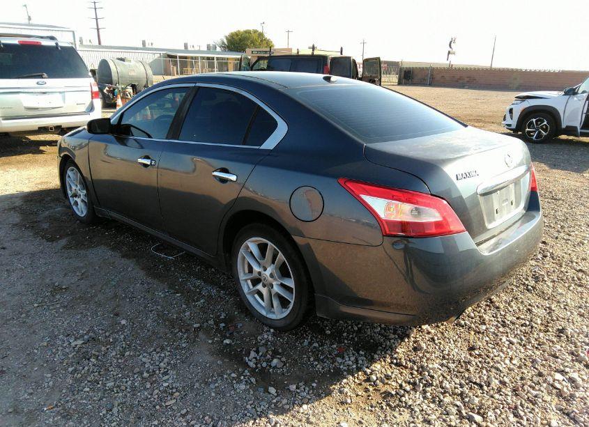Photo 3 of 2010 Nissan Maxima 3.5 SV (VIN 1N4AA5AP2AC817051)