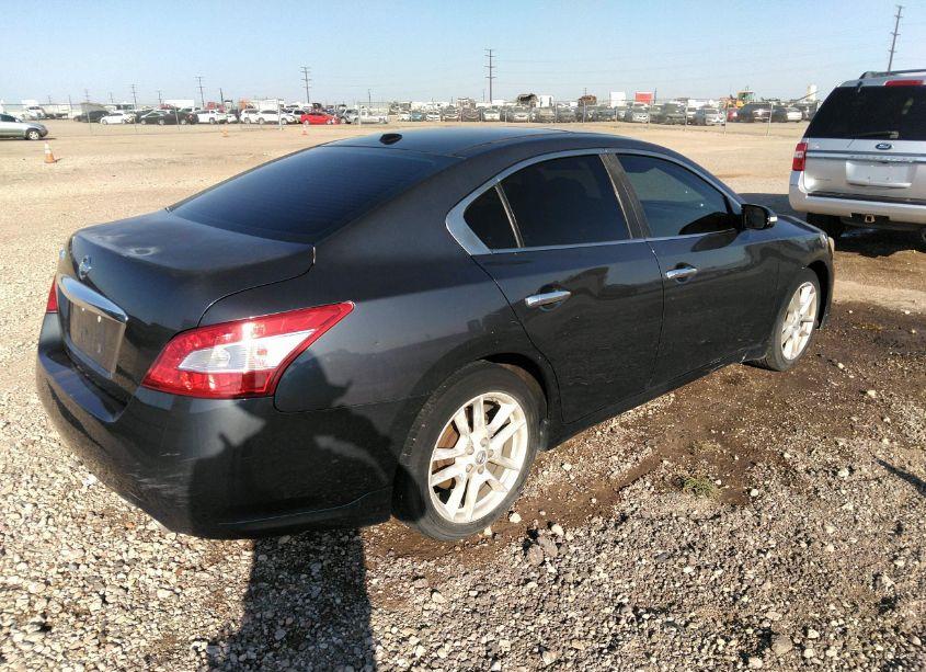 Photo 4 of 2010 Nissan Maxima 3.5 SV (VIN 1N4AA5AP2AC817051)