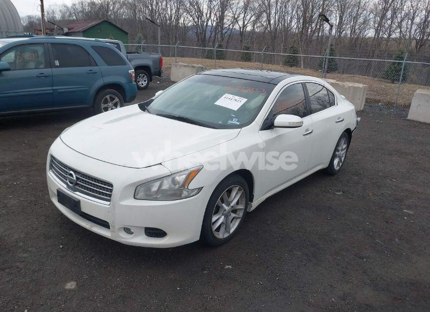 Photo 2 of 2010 Nissan Maxima 3.5 SV (VIN 1N4AA5AP2AC817762)