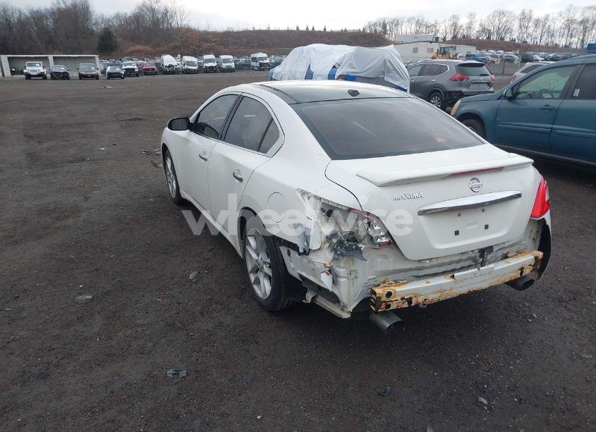 Photo 3 of 2010 Nissan Maxima 3.5 SV (VIN 1N4AA5AP2AC817762)