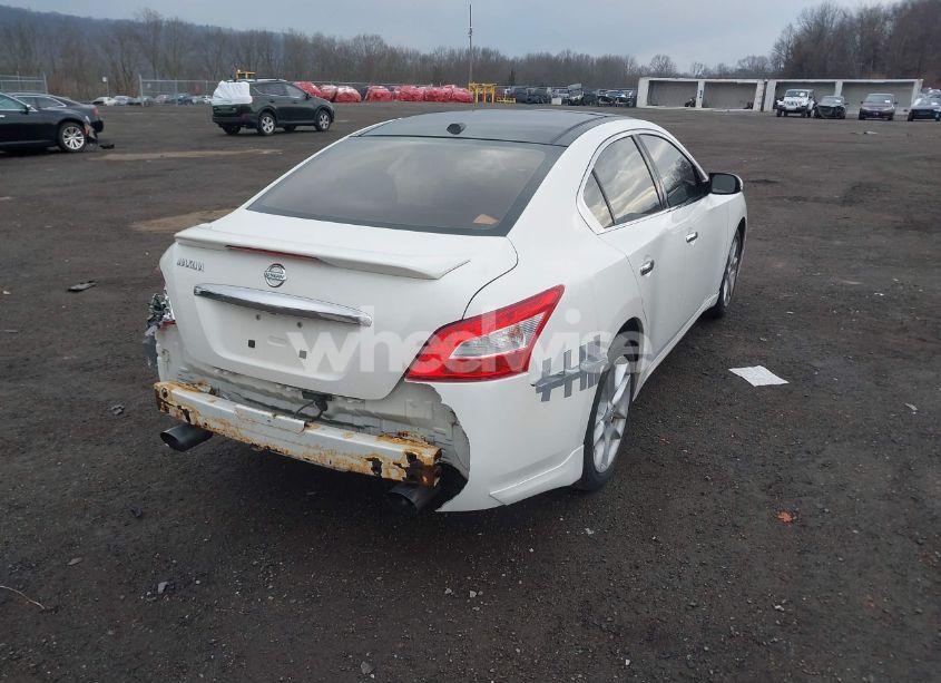 Photo 4 of 2010 Nissan Maxima 3.5 SV (VIN 1N4AA5AP2AC817762)
