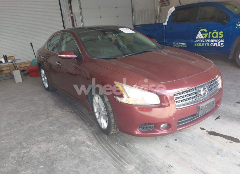 2010 Nissan Maxima S/SV (VIN 1N4AA5AP2AC824663) main photo