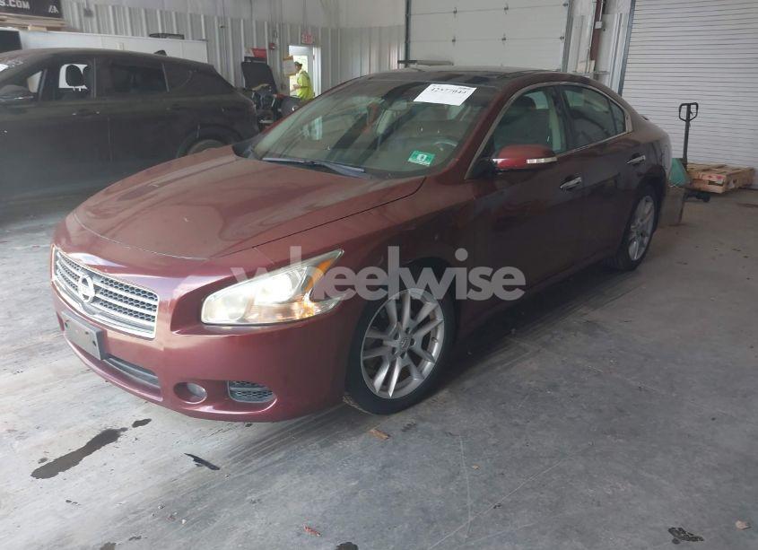 Photo 2 of 2010 Nissan Maxima S/SV (VIN 1N4AA5AP2AC824663)