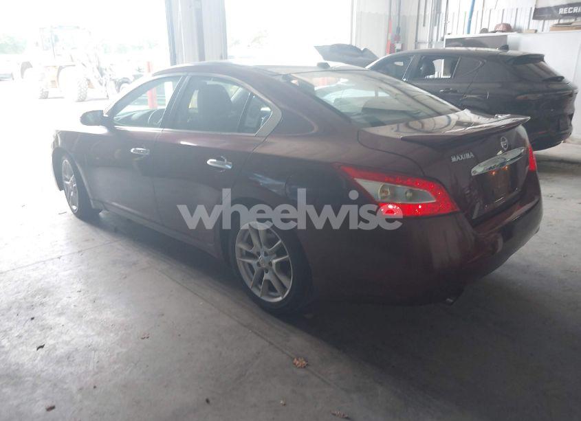 Photo 3 of 2010 Nissan Maxima S/SV (VIN 1N4AA5AP2AC824663)