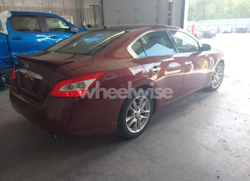 Photo 4 of 2010 Nissan Maxima S/SV (VIN 1N4AA5AP2AC824663)