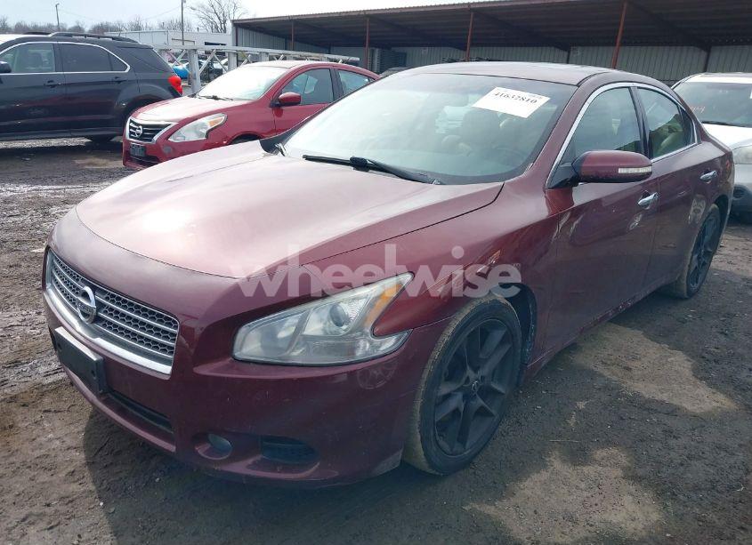 Photo 2 of 2010 Nissan Maxima 3.5 SV (VIN 1N4AA5AP2AC830544)