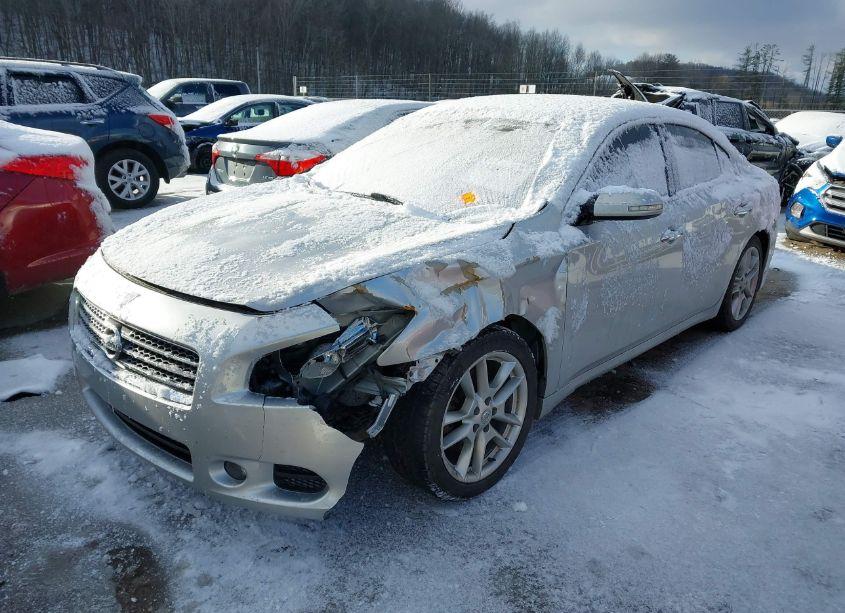 Photo 2 of 2010 Nissan Maxima 3.5 SV (VIN 1N4AA5AP2AC846193)
