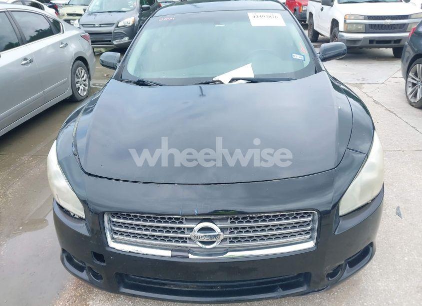 Photo 6 of 2010 Nissan Maxima 3.5 S (VIN 1N4AA5AP2AC855086)