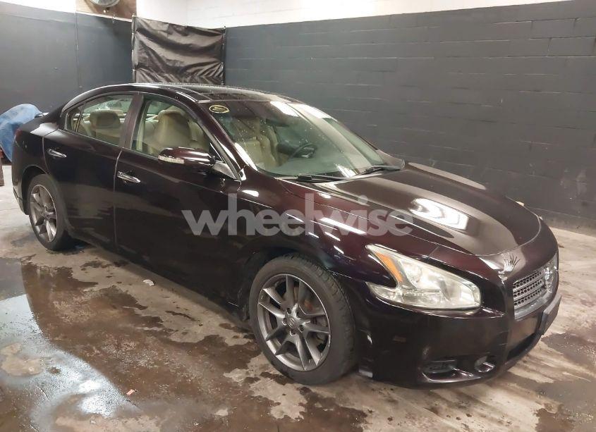 2011 Nissan Maxima 3.5 SV (VIN 1N4AA5AP2BC811493) main photo