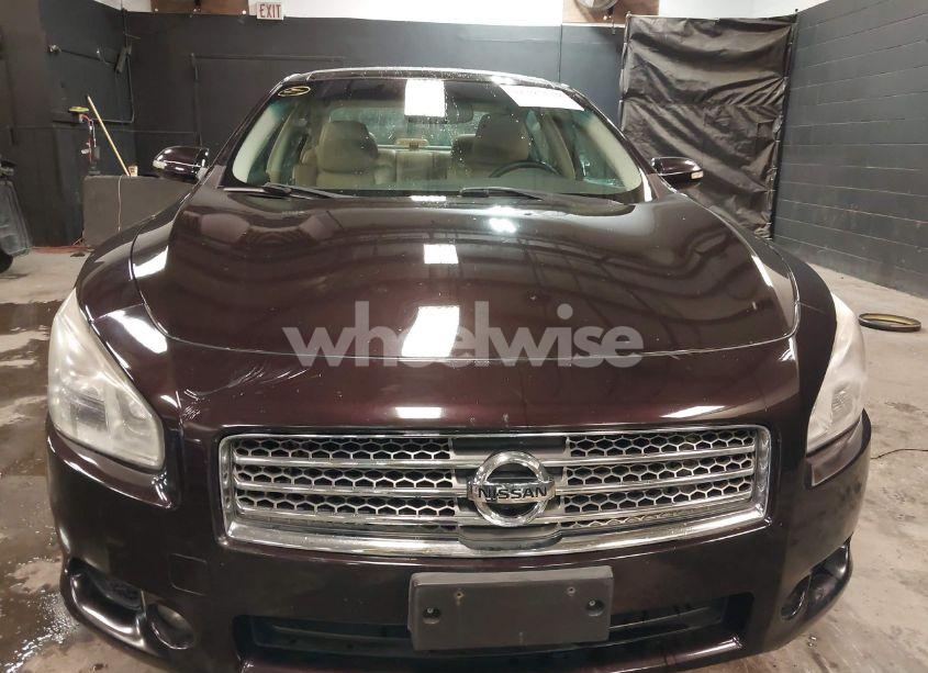 Photo 12 of 2011 Nissan Maxima 3.5 SV (VIN 1N4AA5AP2BC811493)