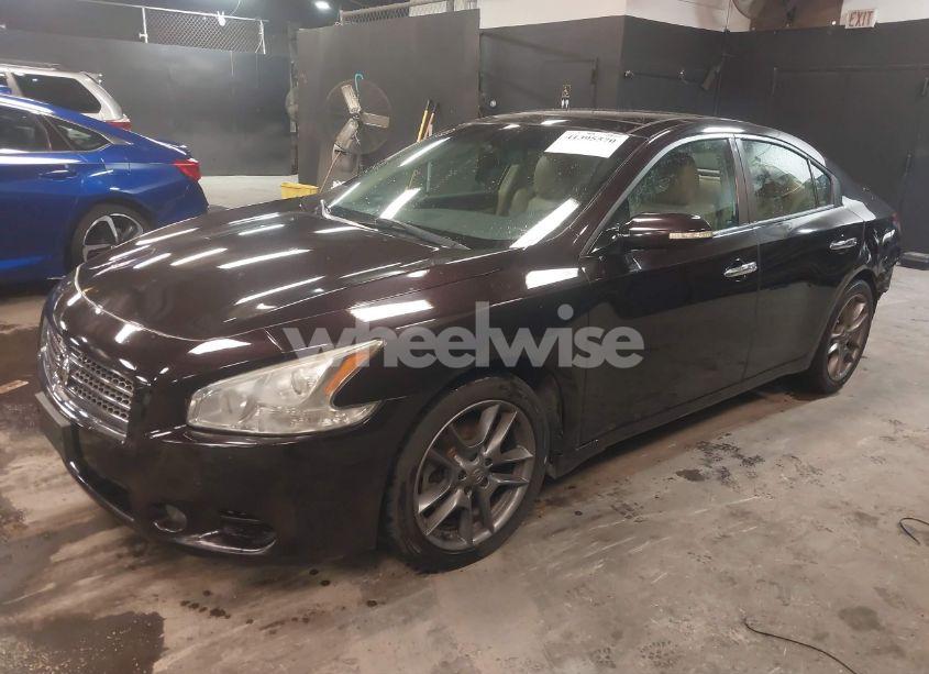 Photo 2 of 2011 Nissan Maxima 3.5 SV (VIN 1N4AA5AP2BC811493)