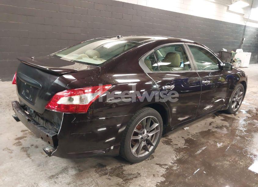 Photo 4 of 2011 Nissan Maxima 3.5 SV (VIN 1N4AA5AP2BC811493)