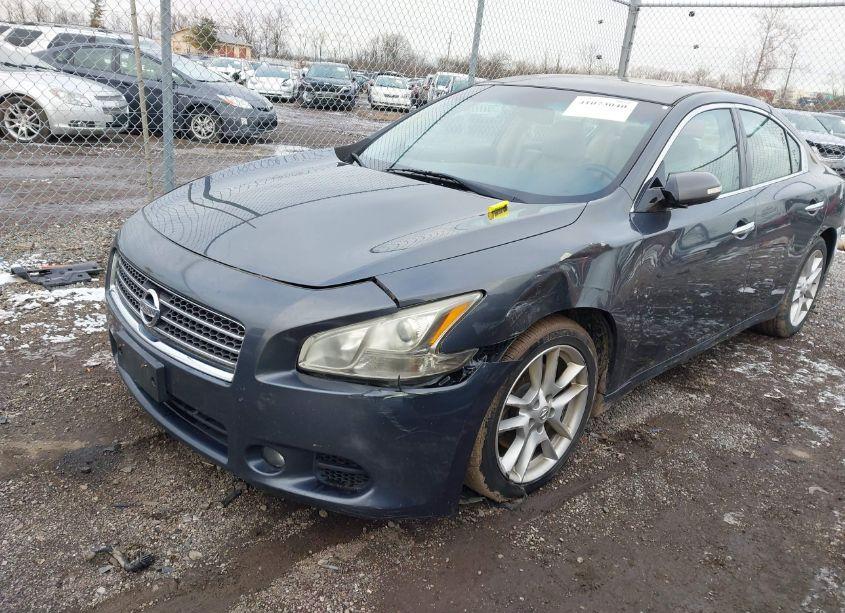 Photo 2 of 2011 Nissan Maxima 3.5 SV (VIN 1N4AA5AP2BC843649)