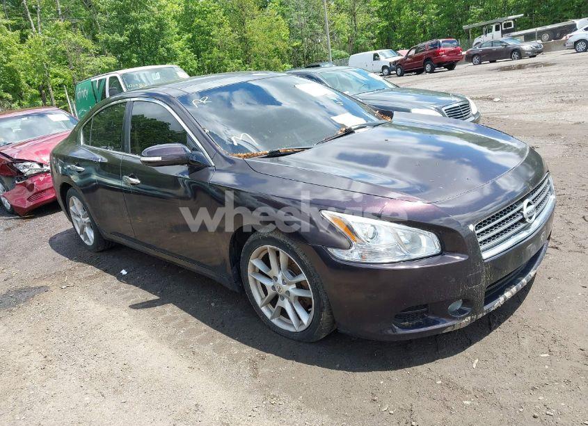 2011 Nissan Maxima 3.5 SV (VIN 1N4AA5AP2BC844476) main photo