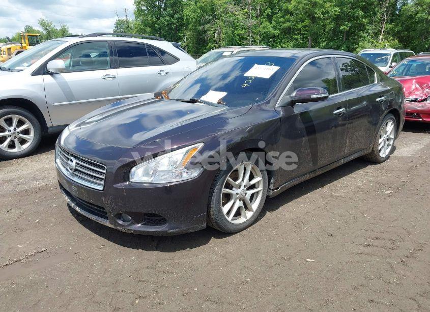 Photo 2 of 2011 Nissan Maxima 3.5 SV (VIN 1N4AA5AP2BC844476)