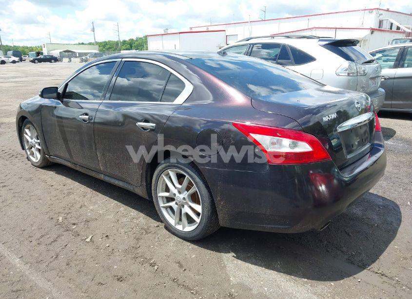 Photo 3 of 2011 Nissan Maxima 3.5 SV (VIN 1N4AA5AP2BC844476)