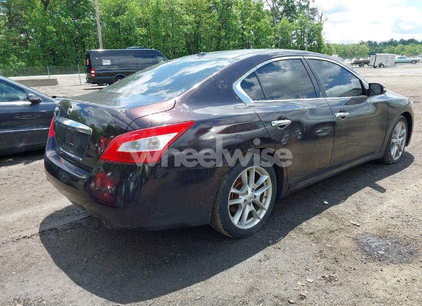 Photo 4 of 2011 Nissan Maxima 3.5 SV (VIN 1N4AA5AP2BC844476)