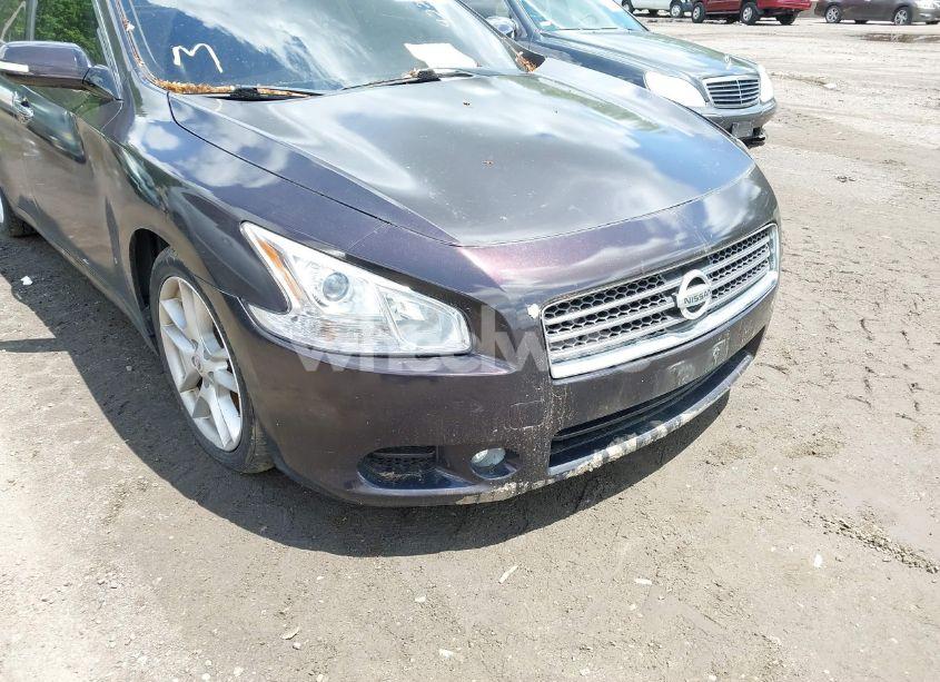 Photo 6 of 2011 Nissan Maxima 3.5 SV (VIN 1N4AA5AP2BC844476)