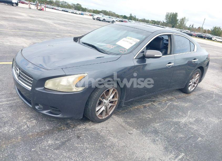 Photo 2 of 2011 Nissan Maxima 3.5 SV (VIN 1N4AA5AP2BC849595)