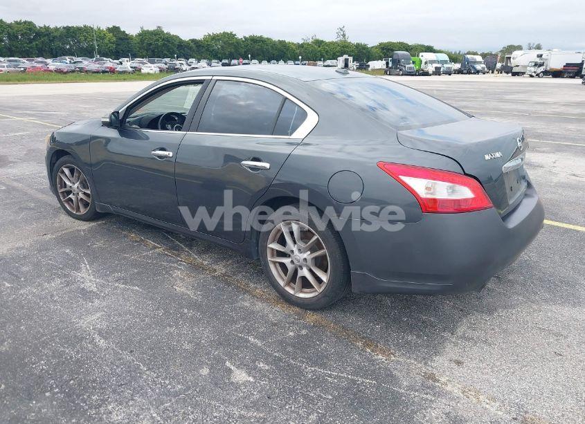 Photo 3 of 2011 Nissan Maxima 3.5 SV (VIN 1N4AA5AP2BC849595)