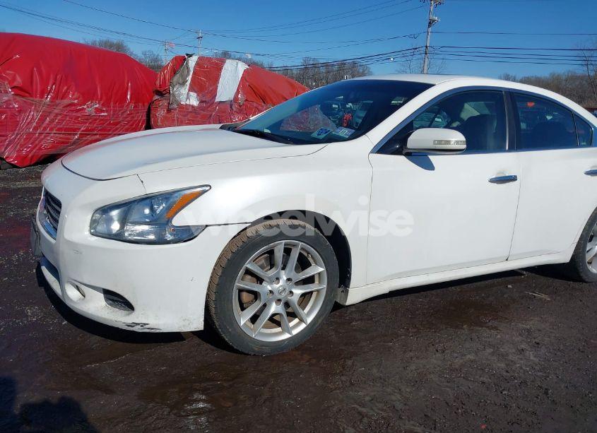 Photo 12 of 2010 Nissan Maxima 3.5 SV (VIN 1N4AA5AP3AC806950)