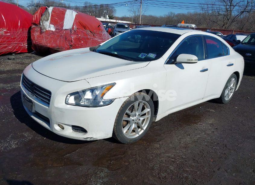 Photo 2 of 2010 Nissan Maxima 3.5 SV (VIN 1N4AA5AP3AC806950)
