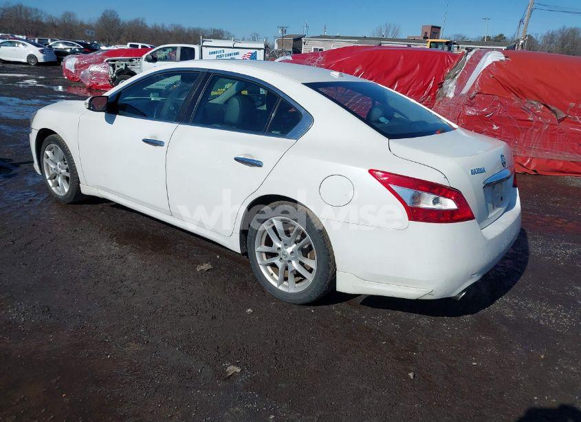 Photo 3 of 2010 Nissan Maxima 3.5 SV (VIN 1N4AA5AP3AC806950)