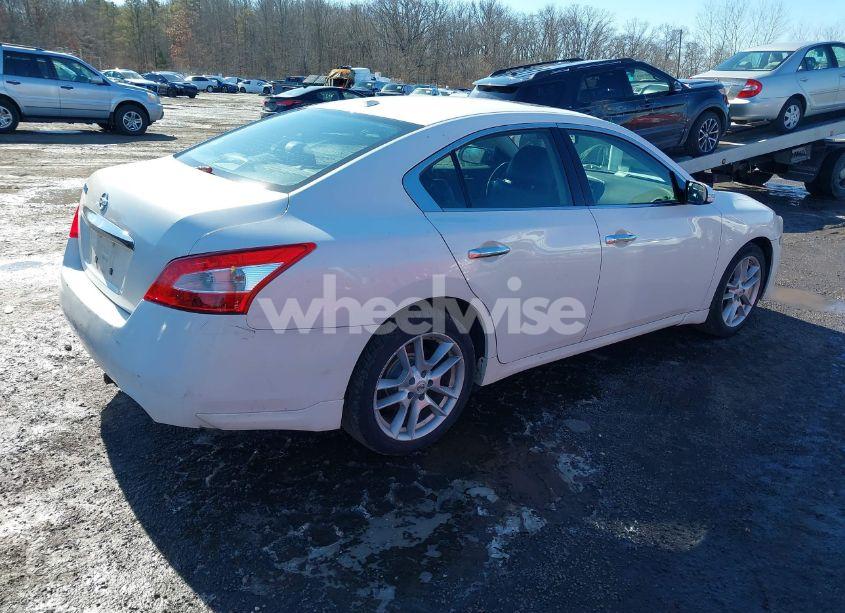 Photo 4 of 2010 Nissan Maxima 3.5 SV (VIN 1N4AA5AP3AC806950)
