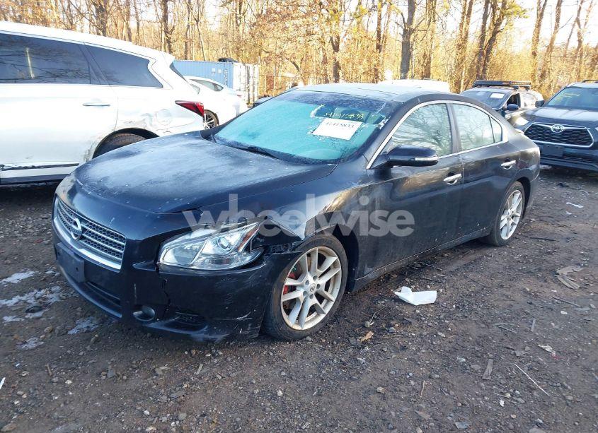 Photo 2 of 2010 Nissan Maxima 3.5 SV (VIN 1N4AA5AP3AC811646)