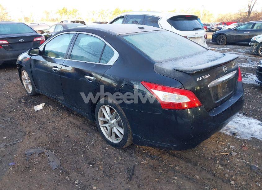 Photo 3 of 2010 Nissan Maxima 3.5 SV (VIN 1N4AA5AP3AC811646)