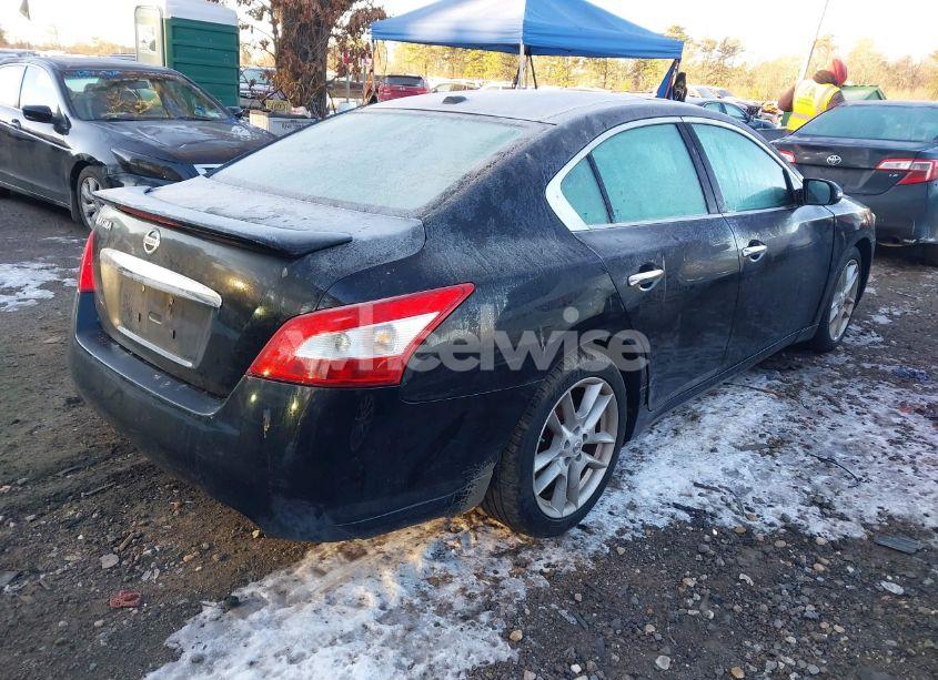 Photo 4 of 2010 Nissan Maxima 3.5 SV (VIN 1N4AA5AP3AC811646)
