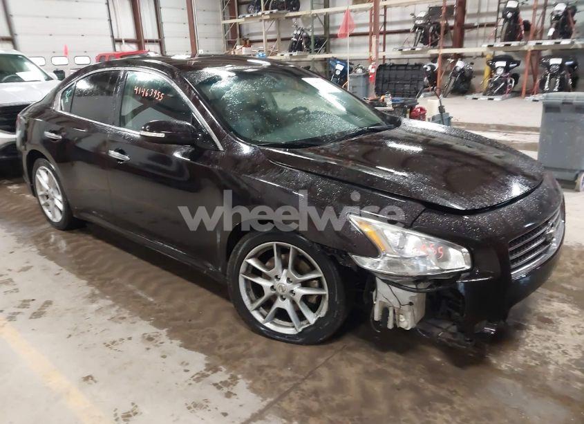 2010 Nissan Maxima 3.5 SV (VIN 1N4AA5AP3AC813963) main photo