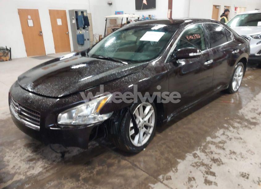 Photo 2 of 2010 Nissan Maxima 3.5 SV (VIN 1N4AA5AP3AC813963)