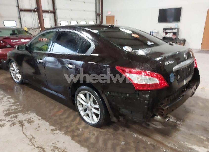 Photo 3 of 2010 Nissan Maxima 3.5 SV (VIN 1N4AA5AP3AC813963)