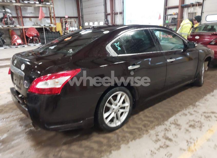 Photo 4 of 2010 Nissan Maxima 3.5 SV (VIN 1N4AA5AP3AC813963)