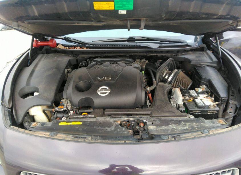 Photo 10 of 2010 Nissan Maxima 3.5 SV (VIN 1N4AA5AP3AC820914)