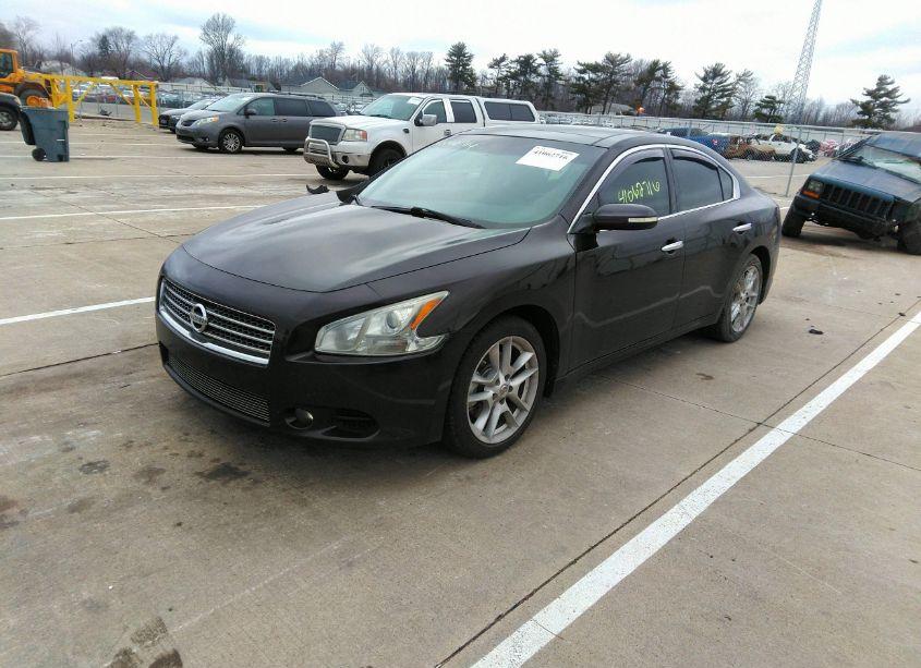 Photo 2 of 2010 Nissan Maxima 3.5 SV (VIN 1N4AA5AP3AC820914)