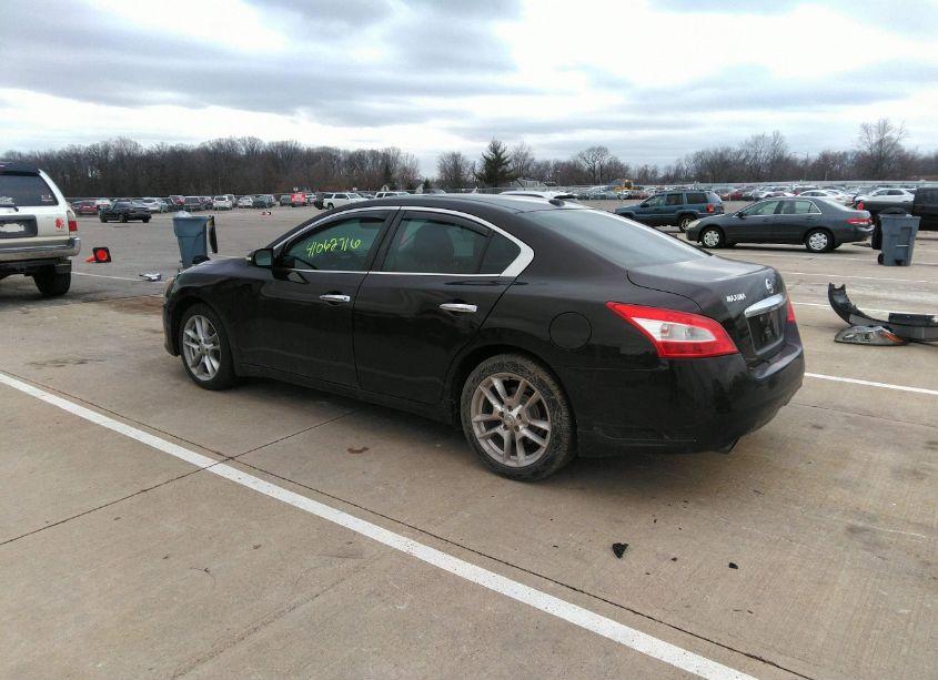 Photo 3 of 2010 Nissan Maxima 3.5 SV (VIN 1N4AA5AP3AC820914)