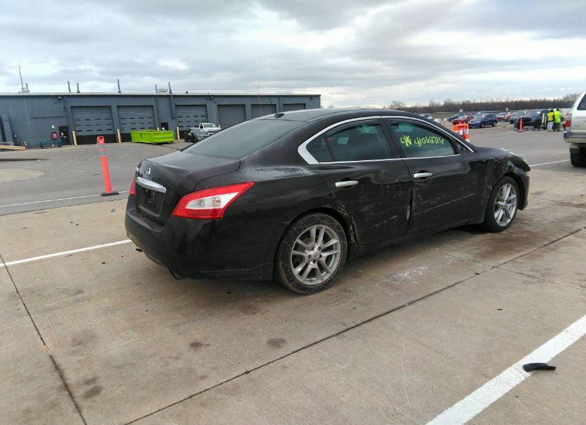 Photo 4 of 2010 Nissan Maxima 3.5 SV (VIN 1N4AA5AP3AC820914)