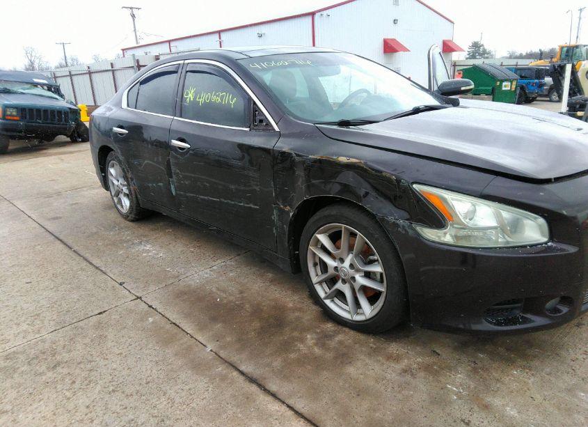 Photo 6 of 2010 Nissan Maxima 3.5 SV (VIN 1N4AA5AP3AC820914)