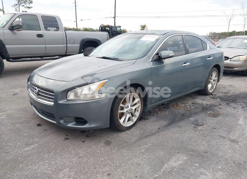 Photo 2 of 2010 Nissan Maxima 3.5 SV (VIN 1N4AA5AP3AC822128)