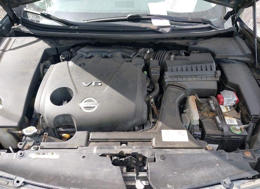 Photo 10 of 2010 Nissan Maxima 3.5 SV (VIN 1N4AA5AP3AC828818)