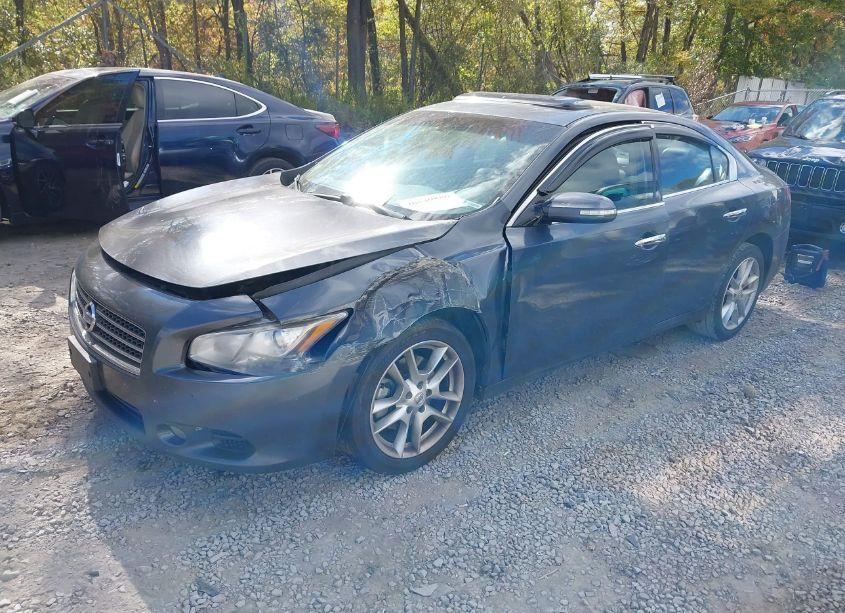 Photo 2 of 2010 Nissan Maxima 3.5 SV (VIN 1N4AA5AP3AC828818)