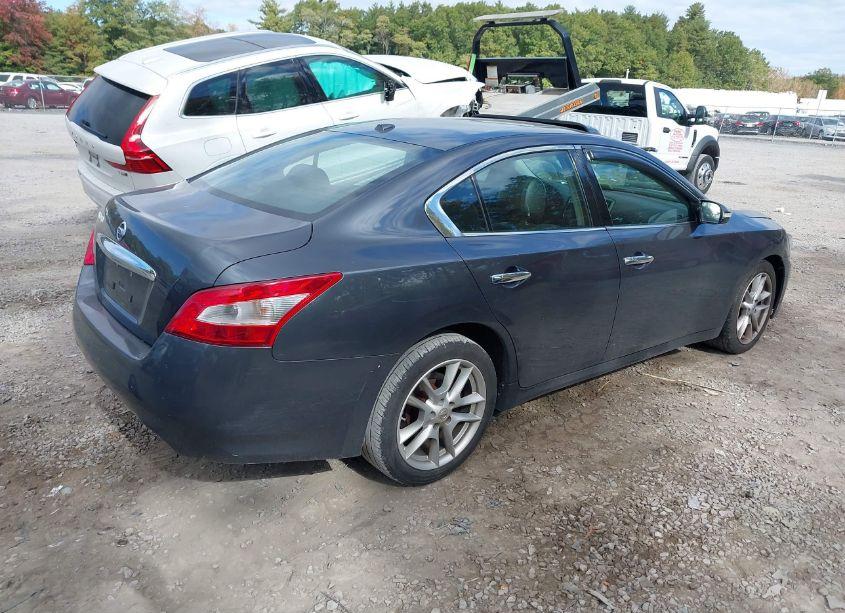 Photo 4 of 2010 Nissan Maxima 3.5 SV (VIN 1N4AA5AP3AC828818)
