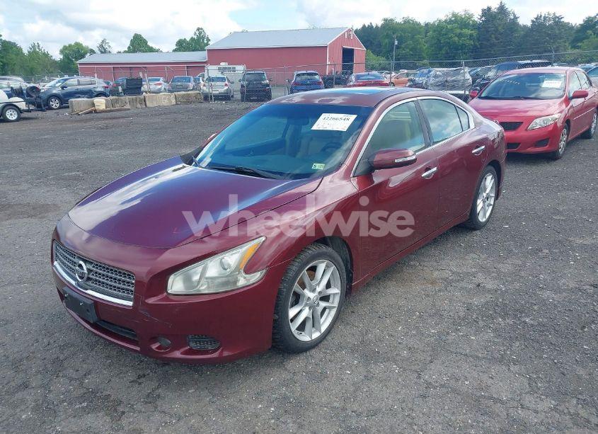 Photo 2 of 2010 Nissan Maxima 3.5 SV (VIN 1N4AA5AP3AC838149)