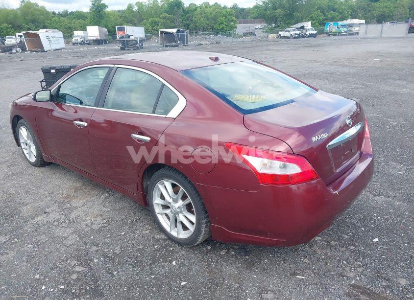 Photo 3 of 2010 Nissan Maxima 3.5 SV (VIN 1N4AA5AP3AC838149)