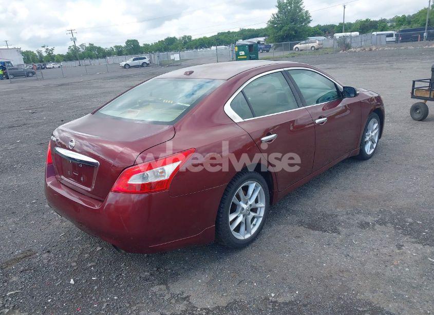 Photo 4 of 2010 Nissan Maxima 3.5 SV (VIN 1N4AA5AP3AC838149)
