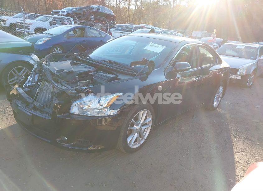 Photo 2 of 2010 Nissan Maxima 3.5 SV (VIN 1N4AA5AP3AC858076)